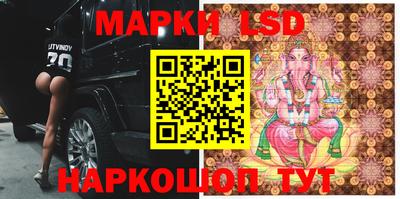 стафф Будённовск
