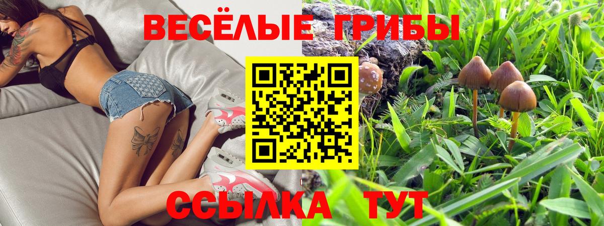 Псилоцибиновые грибы прущие грибы  Вход с VPN  закладки  Новокузнецк 